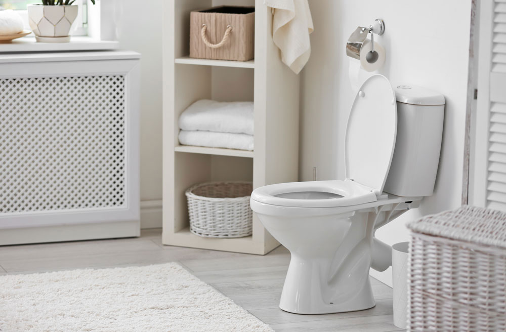 Chandler Toilet repair and installation